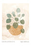 Watercolor houseplants 2