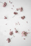 blush faded cherry flower confetti