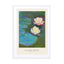 Nympheas (SE) - Claude Monet Wall Art - Drawdeck