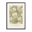 Chrysanthemum (SE) - William Morris Wall Art - Drawdeck