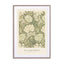 Chrysanthemum (SE) - William Morris Wall Art - Drawdeck