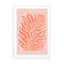 Salmon Plants Wall Art - Drawdeck