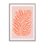 Salmon Plants Wall Art - Drawdeck