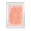 Salmon Plants Wall Art - Drawdeck