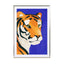 Tiger Wall Art - Drawdeck