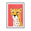 Cheetah - Drawdeck