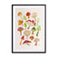 Mushrooms Wall Art - Drawdeck