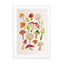 Mushrooms Wall Art - Drawdeck