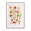 Mushrooms Wall Art - Drawdeck