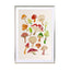 Mushrooms Wall Art - Drawdeck