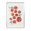 Sliced Grapefruits Watercolor Wall Art - Drawdeck