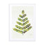 Green Leaflets Wall Art - Drawdeck