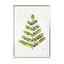 Green Leaflets Wall Art - Drawdeck