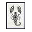 Black Scorpion Wall Art - Drawdeck