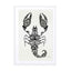 Black Scorpion Wall Art - Drawdeck