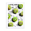 Kiwis Wall Art - Drawdeck