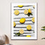 Lemons - Drawdeck