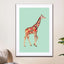 Coloured Giraffe - Drawdeck