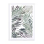 Palm Leaf Wall Art - Drawdeck