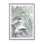 palm leaf
