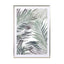 Palm Leaf Wall Art - Drawdeck