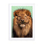 Bearded Lion Wall Art - Drawdeck