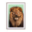 Bearded Lion Wall Art - Drawdeck