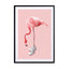 Sneaker Flamingo Wall Art - Drawdeck