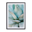 Succulent details Wall Art - Drawdeck