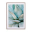 Succulent details Wall Art - Drawdeck