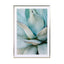 Succulent details Wall Art - Drawdeck