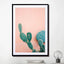 Cactus on Pink II - Drawdeck