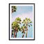 Palm Trees Marrakech Wall Art - Drawdeck