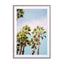 Palm Trees Marrakech Wall Art - Drawdeck