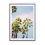 Palm Trees Marrakech - Drawdeck