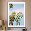 Palm Trees Marrakech - Drawdeck