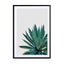 Agave Cactus Wall Art - Drawdeck