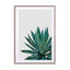 Agave Cactus Wall Art - Drawdeck