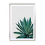 Agave Cactus Wall Art - Drawdeck