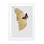 Butterfly & Palm Leaf Wall Art - Drawdeck