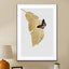 Butterfly & Palm Leaf - Drawdeck