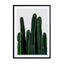Cactus I Wall Art - Drawdeck