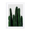 Cactus I Wall Art - Drawdeck