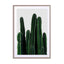Cactus I Wall Art - Drawdeck