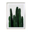 Cactus I Wall Art - Drawdeck