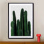 Cactus I - Drawdeck