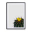 Flower Cactus Wall Art - Drawdeck