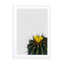 Flower Cactus Wall Art - Drawdeck