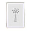 Flower Still Life I Wall Art - Drawdeck