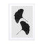 Ginkgo Leaf Black & White Ii Wall Art - Drawdeck